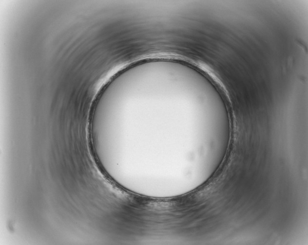 X0000100221237200805300740