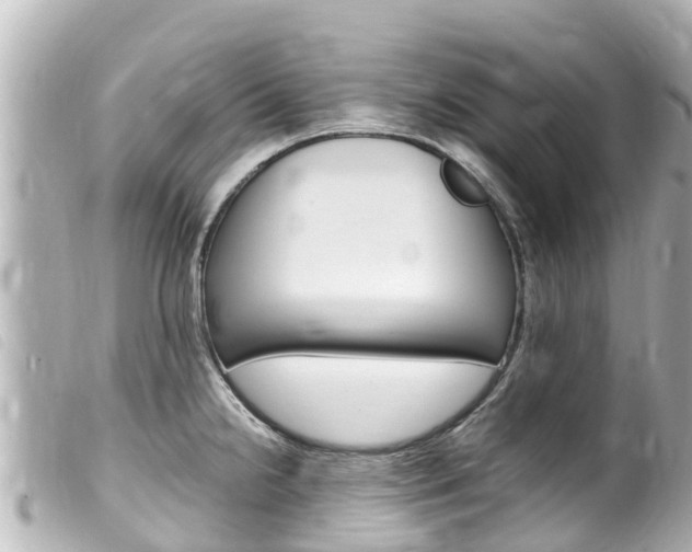 X0000100221238200805300741