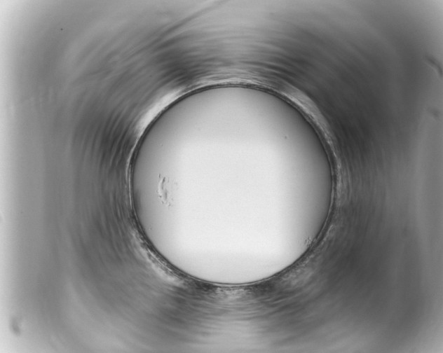 X0000100221242200805300741