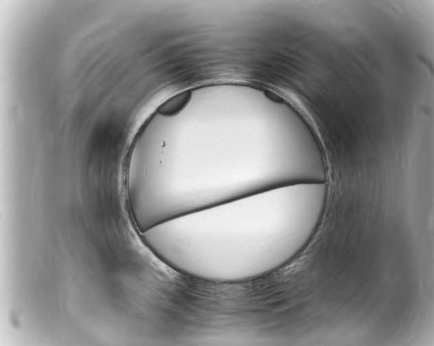 X0000100221243200805300741