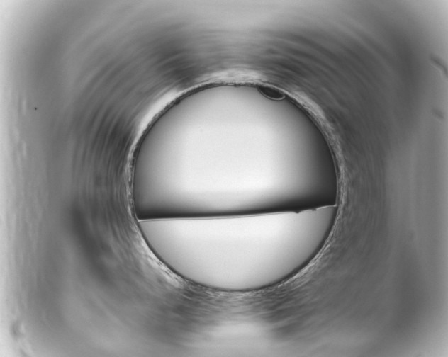 X0000100221248200805300741