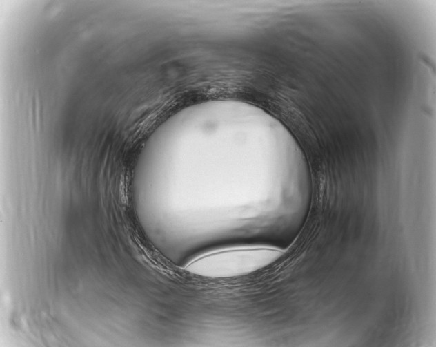 X0000100221250200805300740