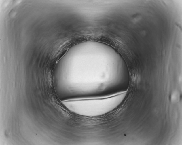 X0000100221252200805300740