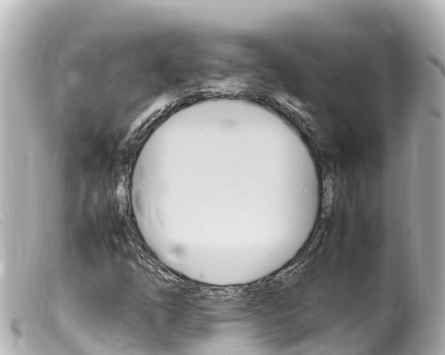 X0000100221254200805300740