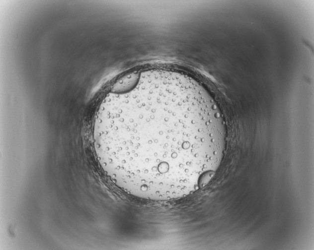 X0000100221255200805300740
