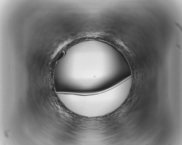 X0000100221256200805300740