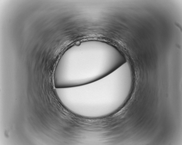 X0000100221257200805300740