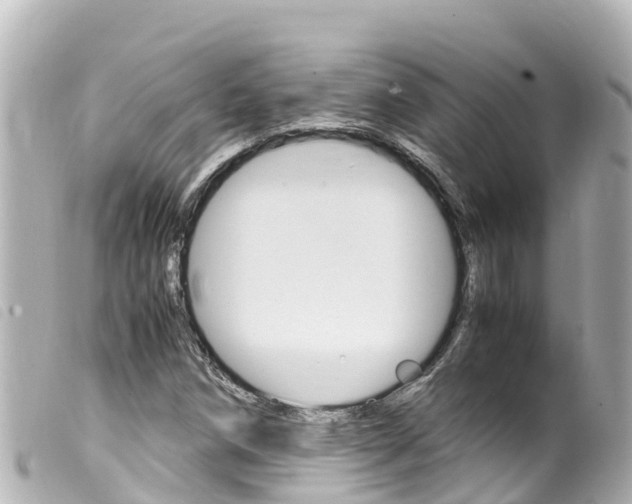 X0000100221258200805300740