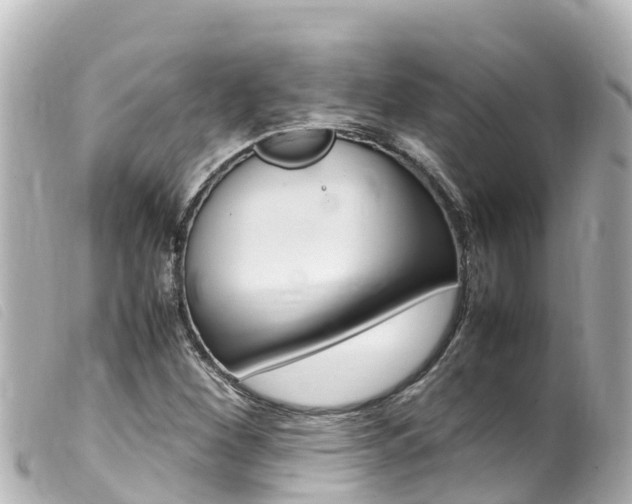 X0000100221260200805300740