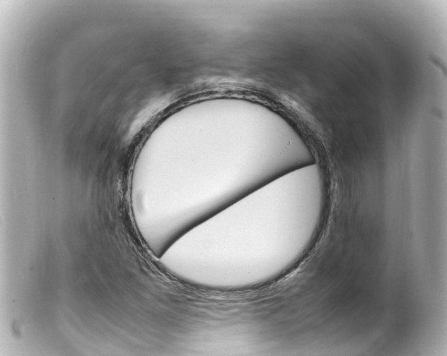 X0000100221261200805300740