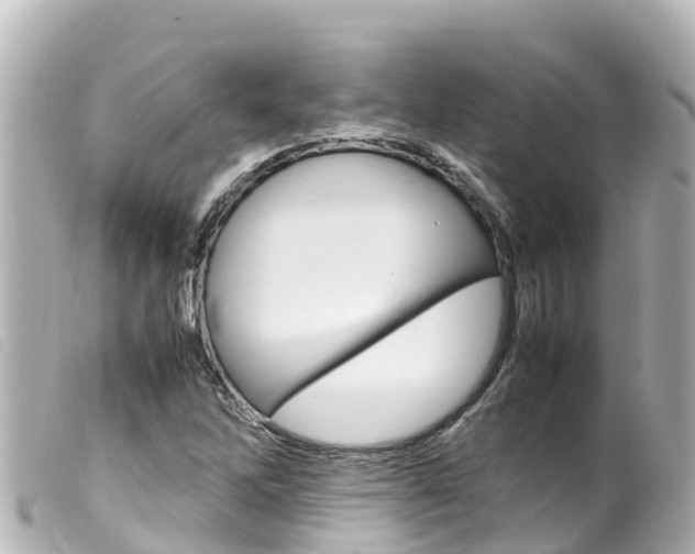 X0000100221262200805300740