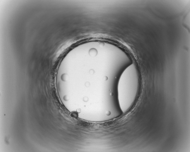 X0000100221263200805300740