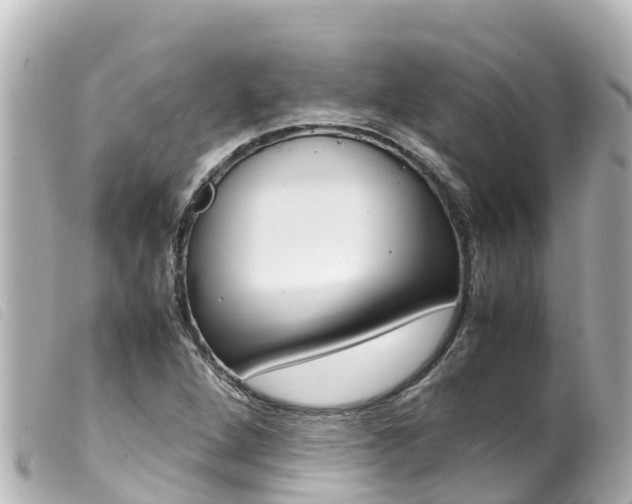 X0000100221264200805300740