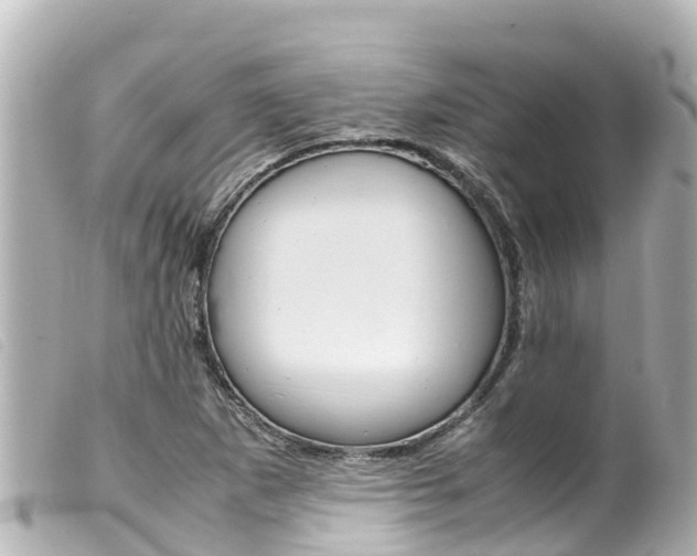 X0000100221265200805300740