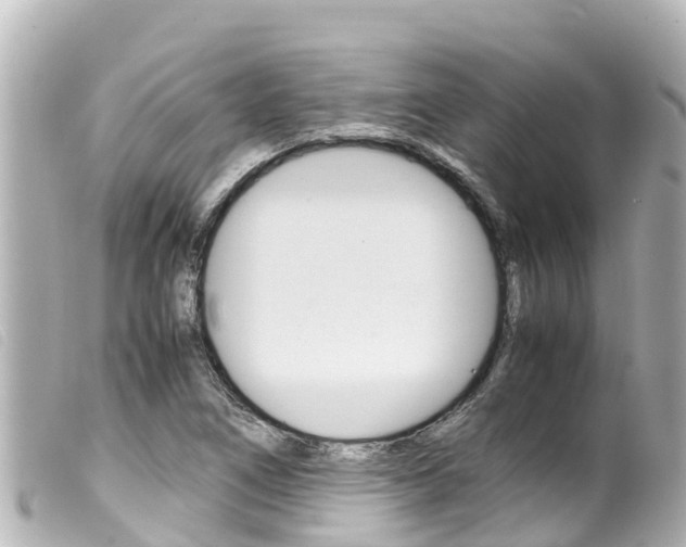 X0000100221266200805300740