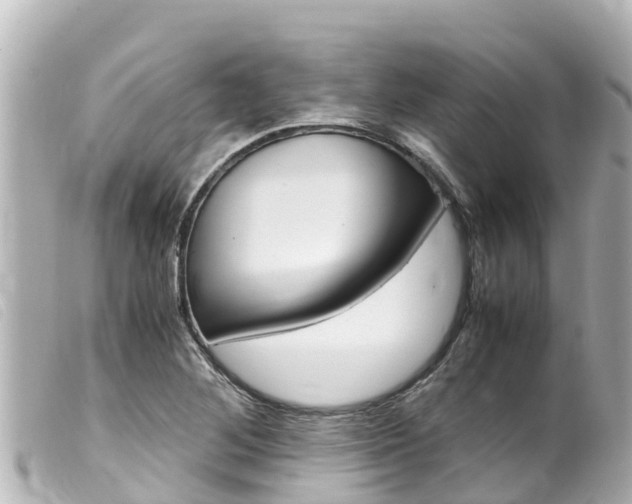 X0000100221268200805300740