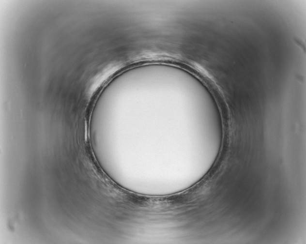 X0000100221269200805300740