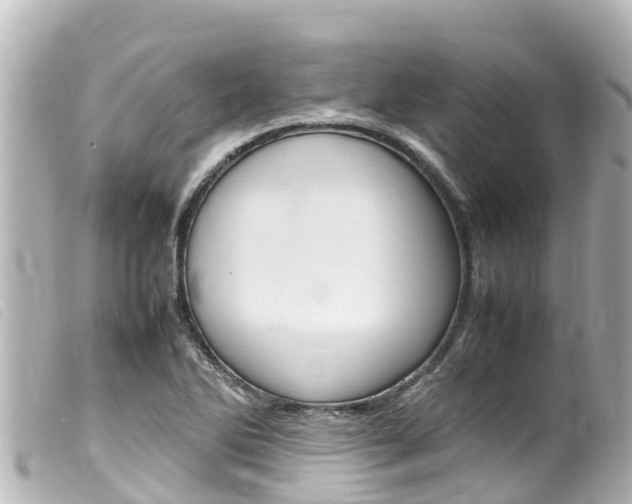 X0000100221270200805300740