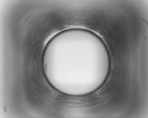 X0000100221271200805300740