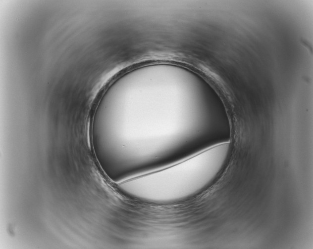 X0000100221272200805300740