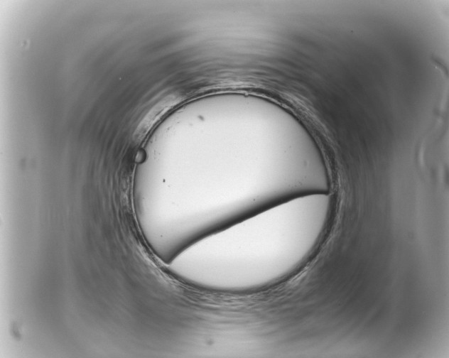 X0000100221273200805300740
