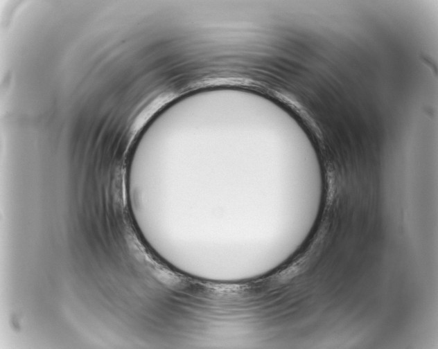 X0000100221274200805300740