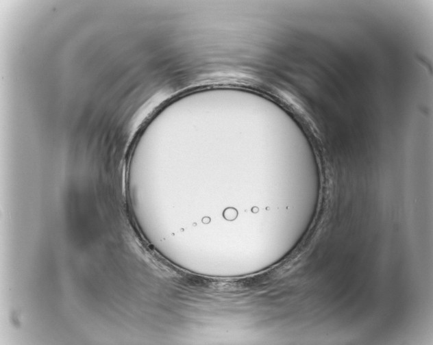 X0000100221275200805300740