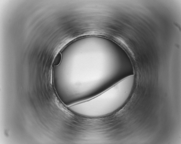 X0000100221276200805300740