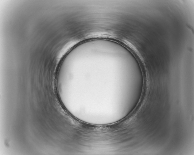 X0000100221277200805300740