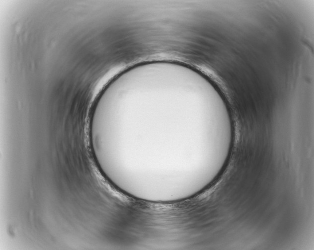 X0000100221278200805300740