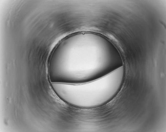 X0000100221280200805300739