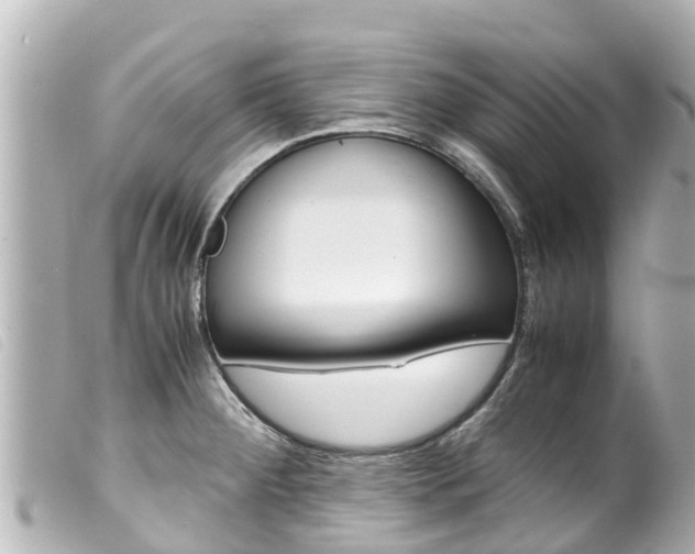 X0000100221284200805300739