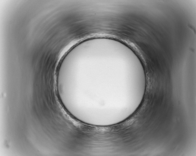 X0000100221286200805300739