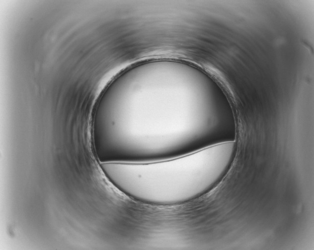 X0000100221288200805300739