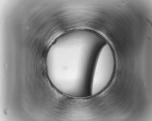 X0000100221289200805300739