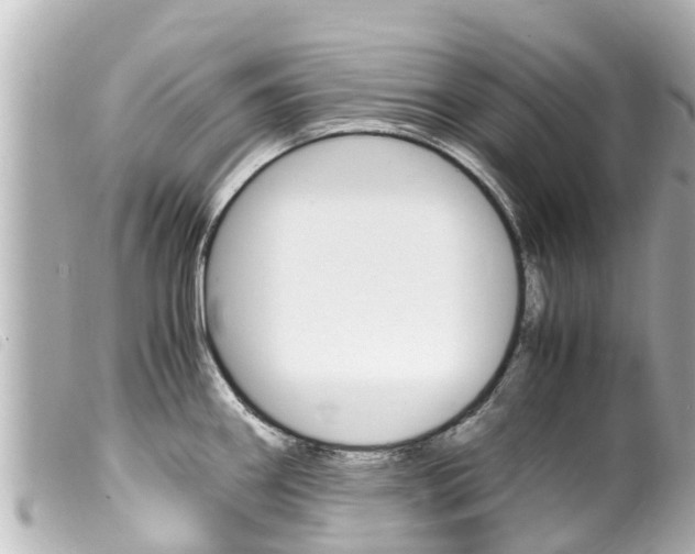 X0000100221290200805300739