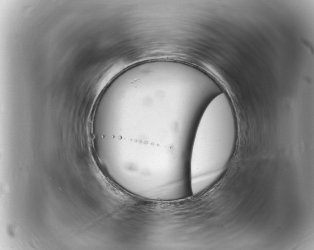X0000100221291200805300739