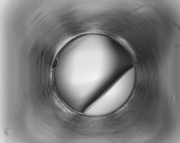 X0000100221292200805300739