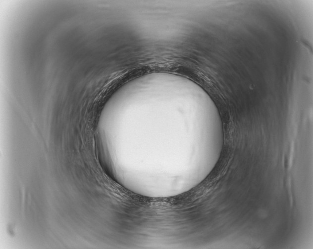 X0000100221297200805300739