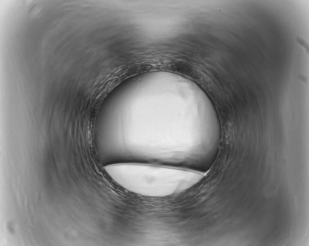 X0000100221298200805300739