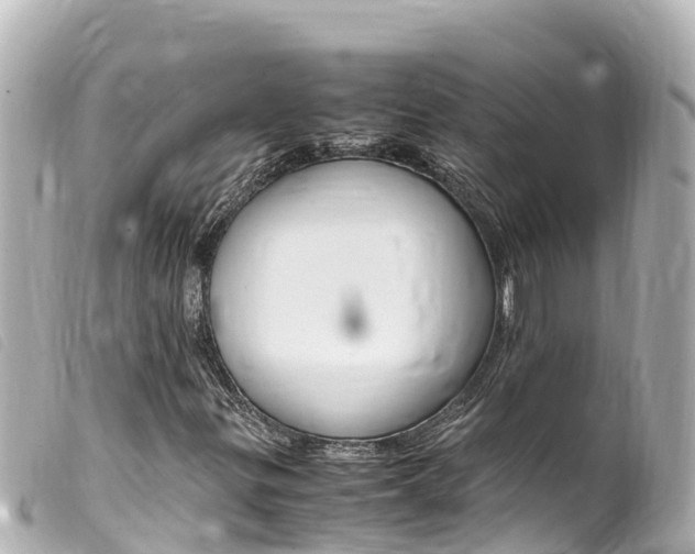 X0000100221299200805300739