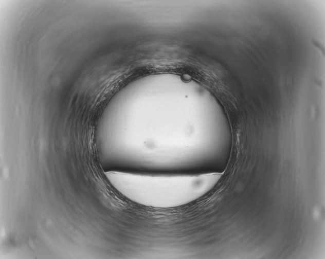 X0000100221300200805300739