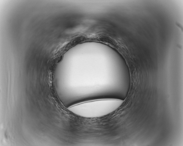 X0000100221301200805300739