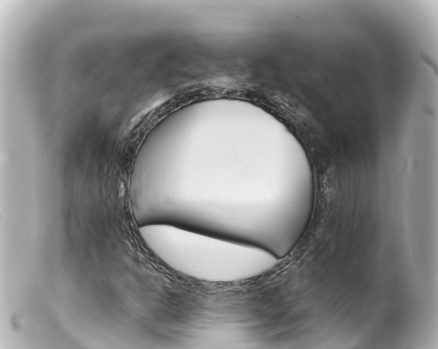 X0000100221302200805300739