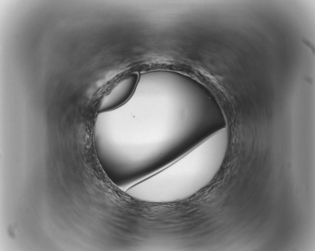 X0000100221303200805300739