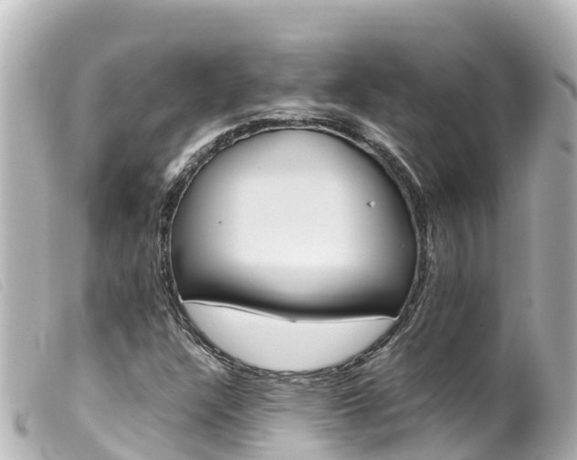 X0000100221304200805300739