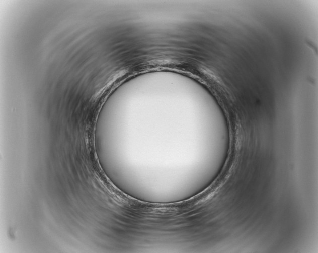 X0000100221305200805300739