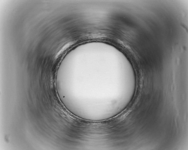 X0000100221306200805300739