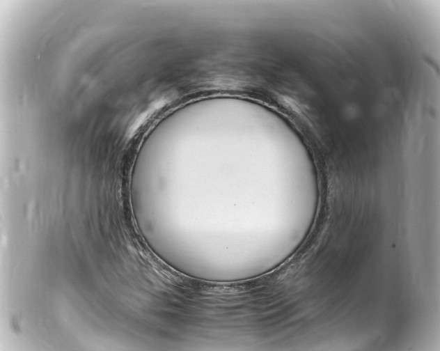 X0000100221307200805300739