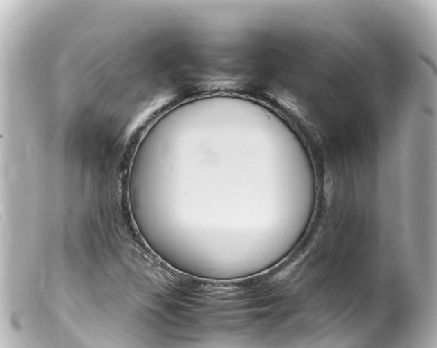X0000100221309200805300739